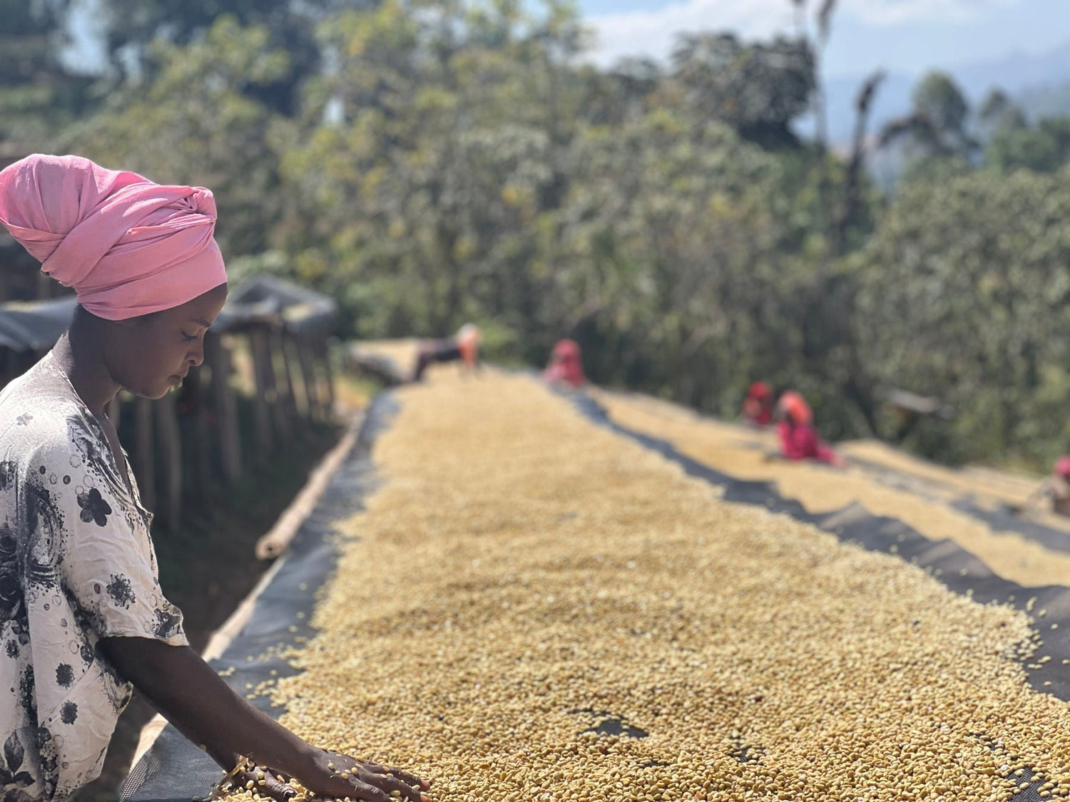 direct-trade-aethiopien