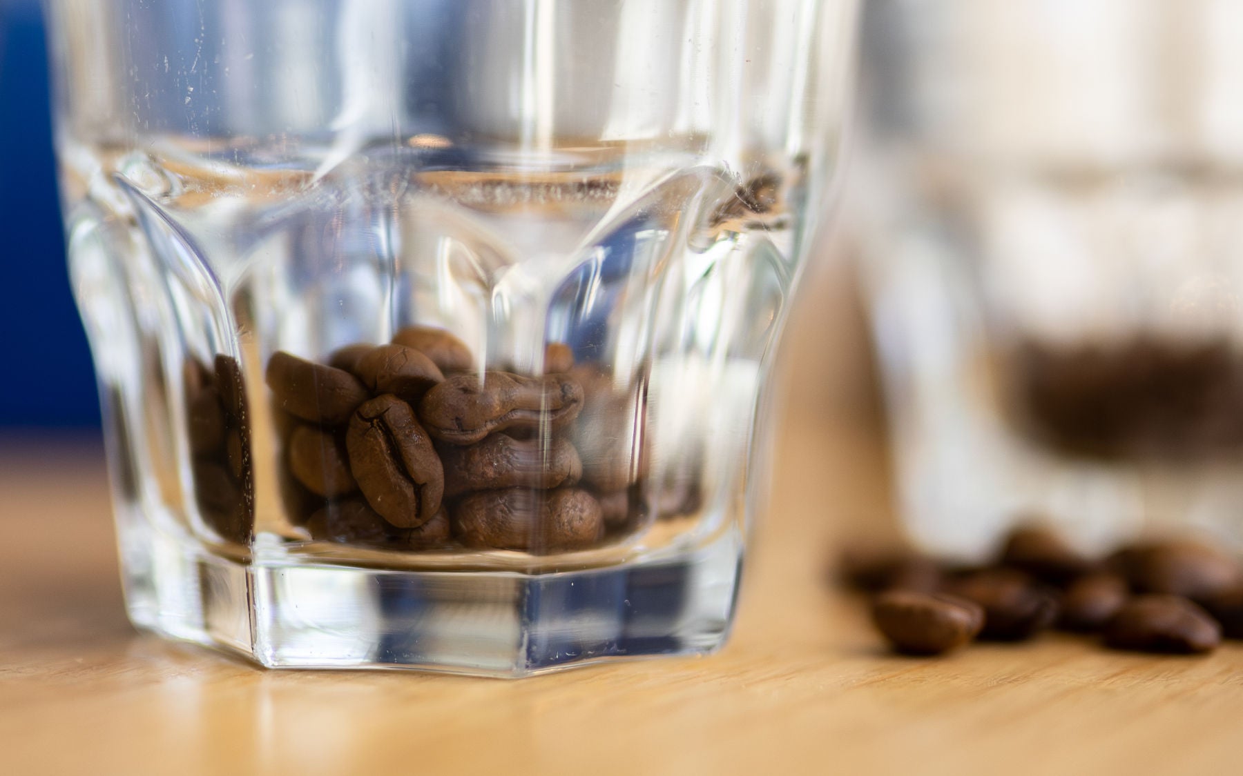 Treueprogram-kaffanero