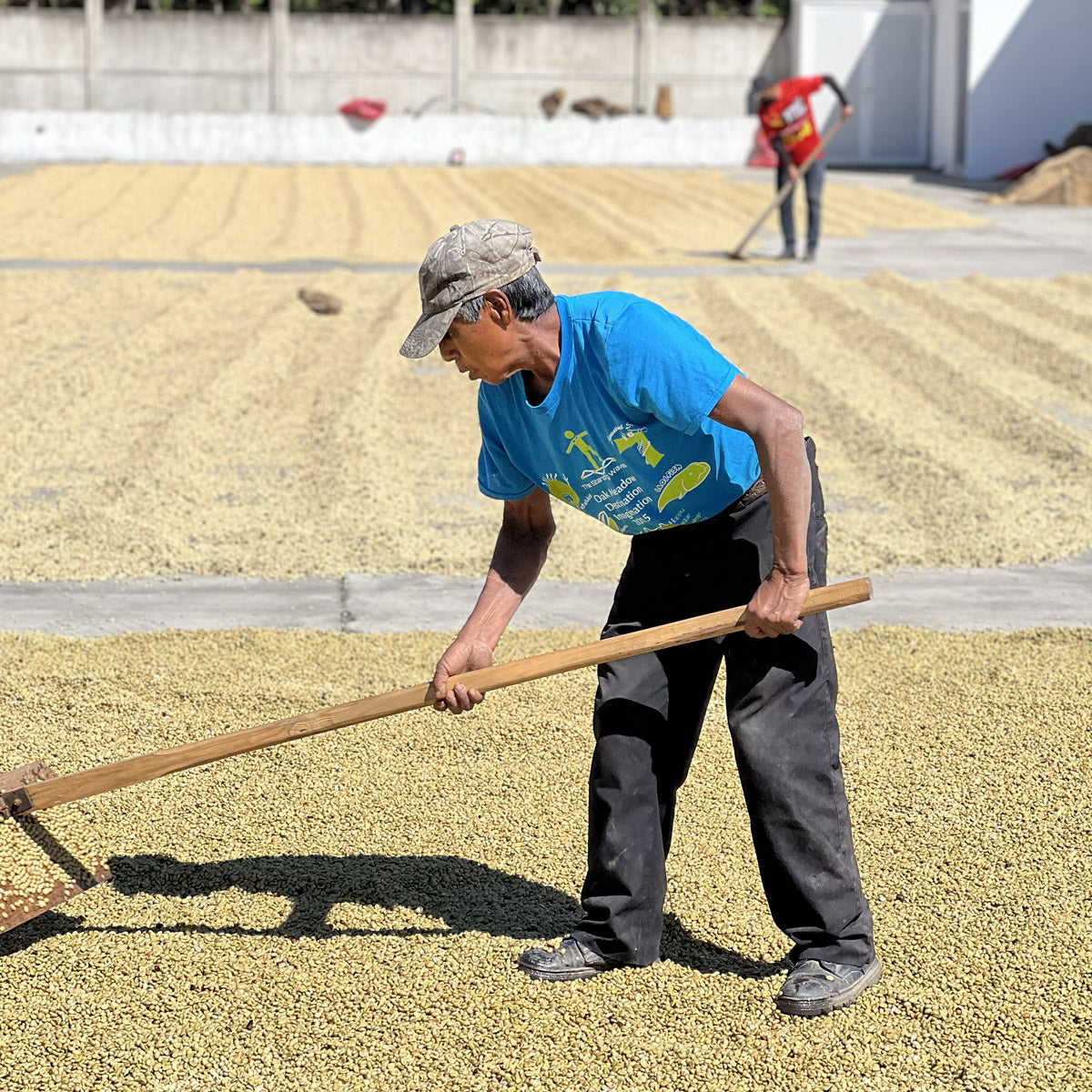 Guatemala-Kaffee-Kaffeeroesterei