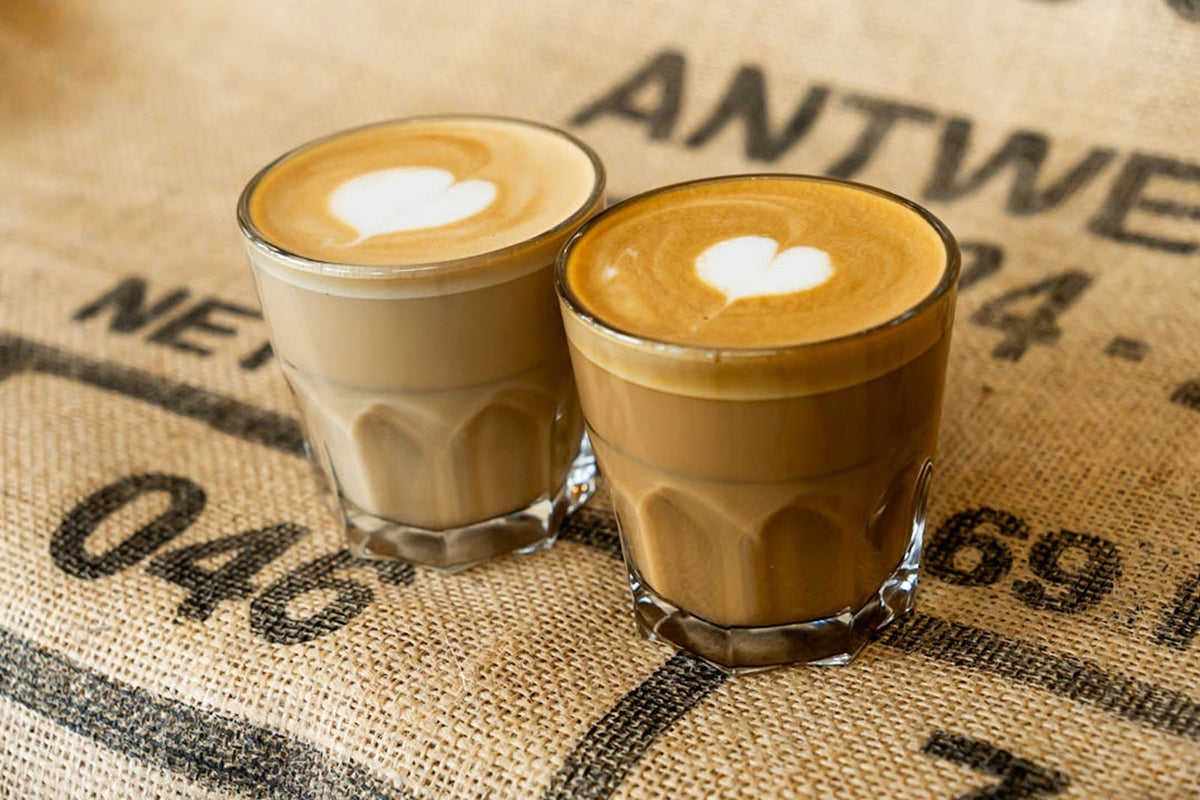latte-art-barista-seminar-dresden